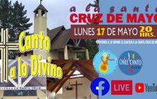 Especial | Cruz de Mayo Ninhue Alto 2021